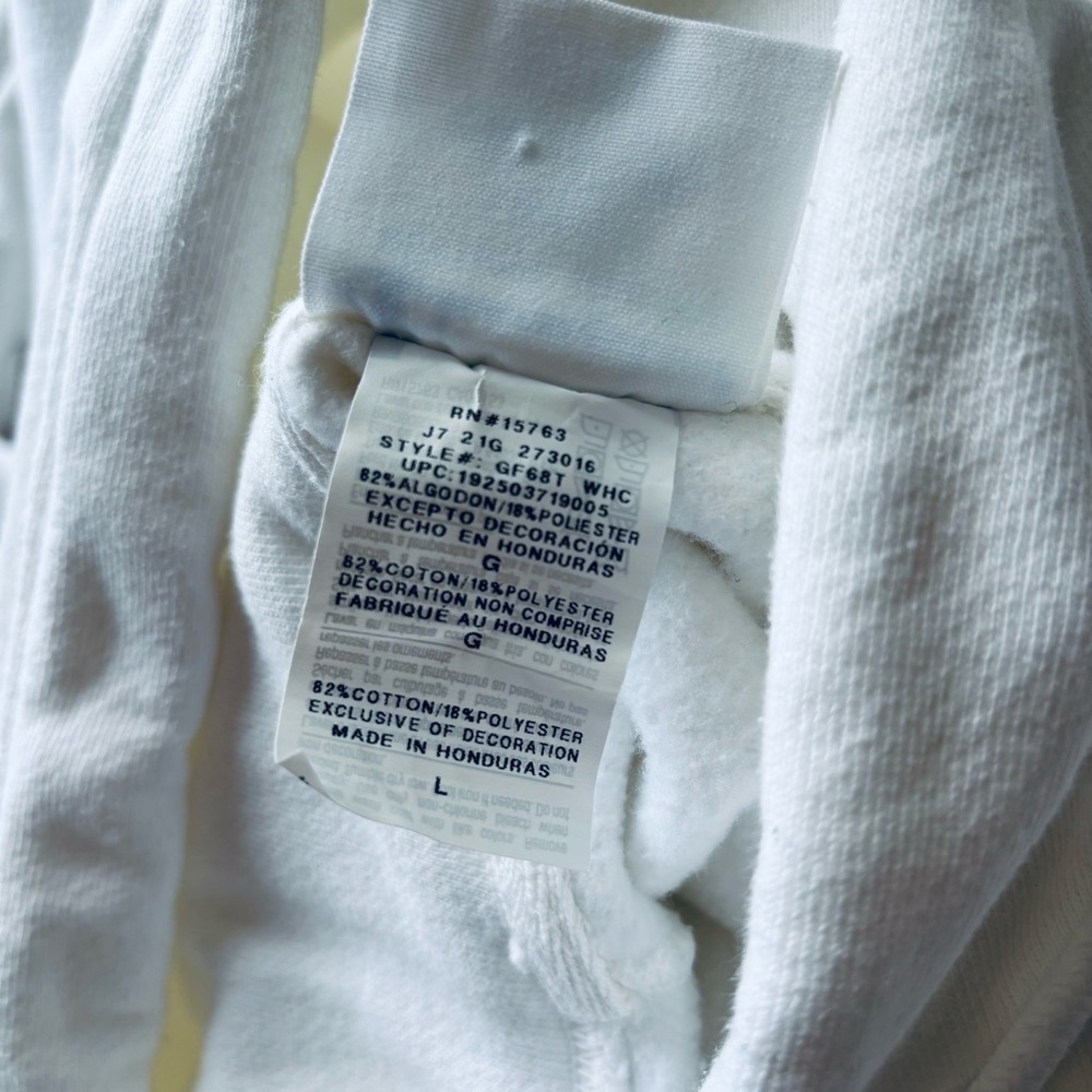 Champion Reverse Weave Loose Heavyweight Hoodie - Picture 9 of 9
